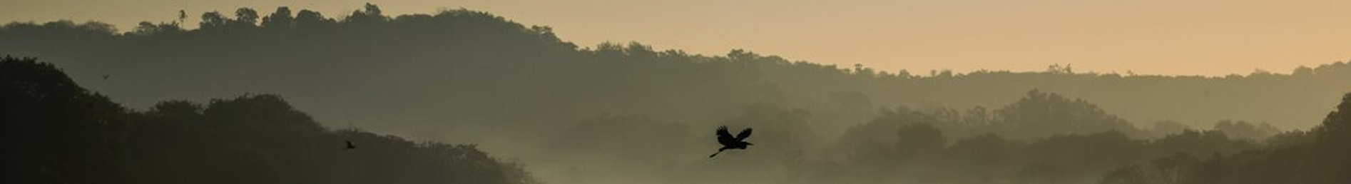 Central Thailand